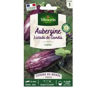 VILMORIN-Graines d’Aubergine Listada de Gandia Vilmorin - graines à semer