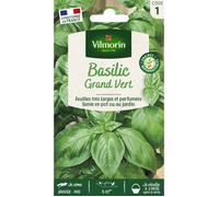 Sachet graines Basilic Grand vert-