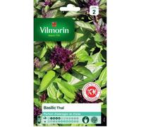 Vilmorin - Basilic Thaï - Parfums mêlés d'estragon et d'anis - Feuilles Vert Olive légèrement violacées - Facile à réussir