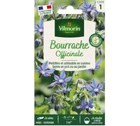Sachet graines Bourrache Officinale-