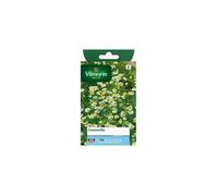 Sachet graines Camomille-