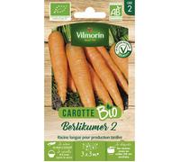 Sachet graines Carotte - Vilmorin - Berlikum 2 BIO - Longues racines - Excellente conservation - Semis facile