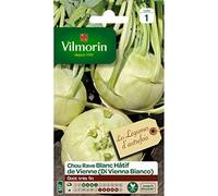 Sachet graines Chou Blanc Hatif de Vienne ( Di Vienna Bianco )
