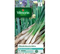 Sachet graines Ciboule Blanche Hâtive-