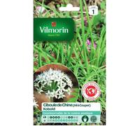 Sachet graines ciboule de chine-