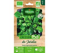 Sachet graines Cresson de jardin BIO