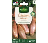 Sachet graines Echalion Zebrune-