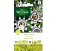 Sachet graines Fleur de la Passion-