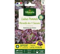 Sachet graines Laitue Merveille des quatre saisons-