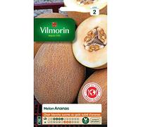 Sachet graines melon ananas