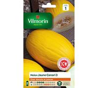 Sachet graines melon jaune canari