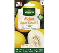 Sachet graines melon jaune canari-