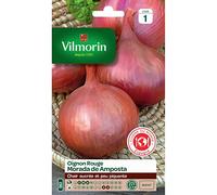 Vilmorin - Sachet graines Oignon rouge Morada de Amposta