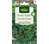 Sachet graines Persil frisé vert foncé-