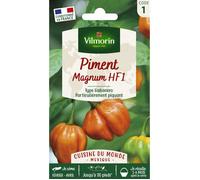 Sachet graines Piment Magnum orange-