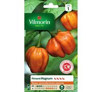 Sachet graines Piment Magnum orange