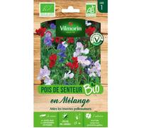VILMORIN-Graines de Pois de senteur bio en mélange Vilmorin - graines à semer