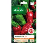 Vilmorin - Sachet graines Poivron Padron
