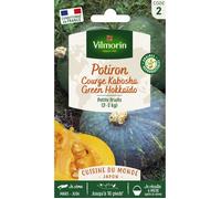 Sachet graines Potiron ( courge Kabocha ) Green Hokkaido-