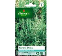 Sachet graines Romarin officinal-