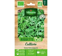 Sachet graines Roquette cultivée BIO