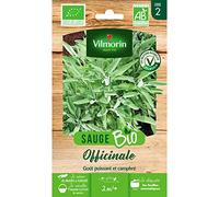 Graine GENERIQUE vilmorin graines de sauge - bio