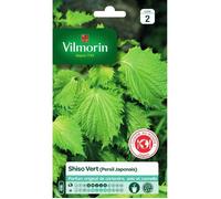 Sachet graines Shiso Vert ( persil japonais )-