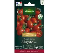 sachet graines Tomate Aligote HF1 vilmorin-