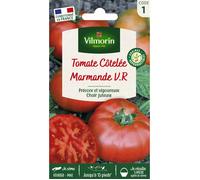Sachet graines Tomate Marmande-