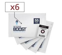 sachet humidificateur 67 g 55 % integra boost x 6