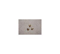 Sachet Inj.But Prop. Brandt