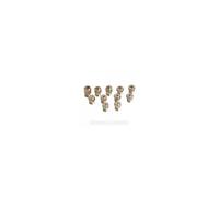 Hotpoint - Sachet d'injecteurs GN G20 20 mbar / G25 25 mbar pour cuisinière Ariston Scholtes G