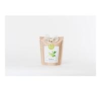 Sachet Life in a bag Grow Bag Persil G