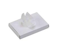 Sachet Plastique Colis de 1200 Rossignol Professonnel