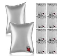 Sachets à Vin 5l Argentés, Lot de 10, Pliables et Faciles à Nettoyer | Pe, Triple Couche avec Valve à Clapet, Bec Caché, pour Pique-niques et Camping Rv
