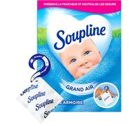 Sachets Armoire Rafraîchissants,Parfum Air Frais,Parfume Le Linge De Maison,Un Complément Idéal À L¿Adoucissant Linge,Grand Air Désodorisant Armoire 1 Boîte Avec 3 Sachets