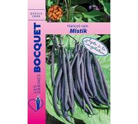 Sachets de graines de Haricot Nain Mistik- Les Graines Bocquet