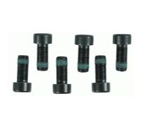 Sachs 1874 000 003 Jeu de vis, volant moteur