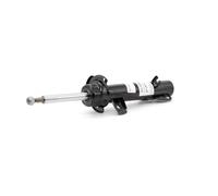 SACHS 313 738 Amortisseur