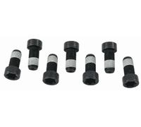 SACHS Jeu de vis, volant d'inertie 1874000043