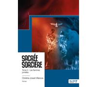 Sacrée sorcière - Tome 3 Les flammes jumelles - Christine Josset-Villanova - Nombre 7 - broché - Roman