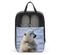 Sacs à chaussures de voyage, sac à chaussures imprimé ours polaire, étanche, organiseur portable, pochette de rangement pour chaussures, avec fermeture éclair robuste pour bateau de croisière, ours