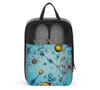 Sacs à chaussures pour voyage, abstraction, biologie, chimie, pochette à chaussures avec fermeture éclair, sac à chaussures de golf respirant pour homme et femme, organiseur de chaussures d'extérieur