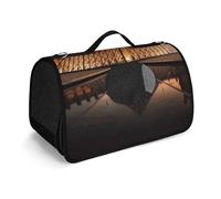 Sacs à main pour animaux domestiques, musée du Louvre à Paris sacs à main imprimés pour animaux de compagnie, sacs pliants pour animaux de compagnie, nouveaux sacs à main pour animaux de compagnie