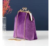 Sacs à main pour femmes en velours doux, 5 couleurs, avec fermoir coquille, à chaîne, porté épaule et bandoulière, à franges women bag 2