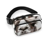 Sacs banane amusants à imprimé lama alpaga pour femme avec sangle réglable pour la vie quotidienne, style, 20 x 13 cm, sac banane, Style :, 20x13cm, Sacs banane