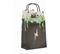 Sacs cadeaux apprentis sorciers 4 pièces multicolores 20 cm