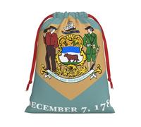 Sacs cadeaux élégants avec motif drapeau du Delaware, sacs de vacances, cadeaux de mariage, emballages de bonbons, réutilisables