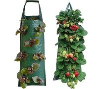 Sacs De Culture Suspendus Pour Fraisiers (2 Pièces, Verts)