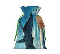 Sacs de Noël avec cordon de serrage et imprimé avions de chasse